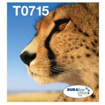 Epson Multipack 4colours T071 EasyMail