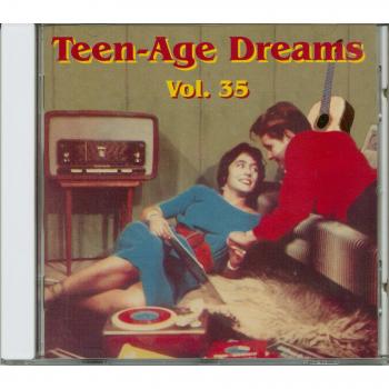 Teenage Dreams Volume 35: Various Artists Compilation CD (30 Tracks)