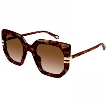 Chloe CH0240S Stylish Havana Brown Women's Sunglasses with Full-Rim Butterfly Design
