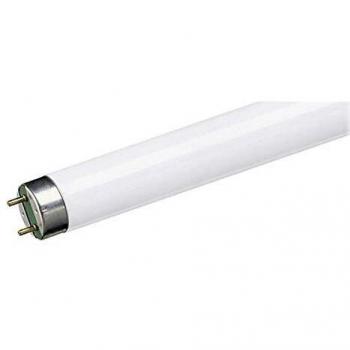 EDM 31042 Tubo Fluorescente con Luz Fria T-5, Multicolor, 8 W