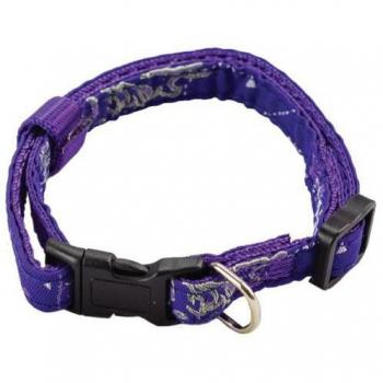 Vitakraft This Is The Boss Collar XS-S: 22-35 Cm / 10 Mm