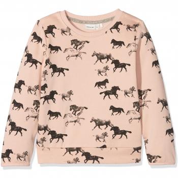 NAME IT Nitditan Ls Swe Top Bru F Mini, Sudadera para Niñas, Multicolor