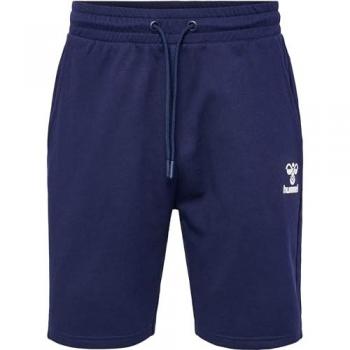 Hummel Icons Regular Shorts for Men - Blue, 2XL