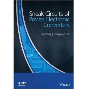SNEAK CIRCUITS OF POWER ELECTRONIC CONVERTERS