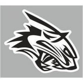 quattroerre 14724 Sticker adhesivo Pantera reflectante
