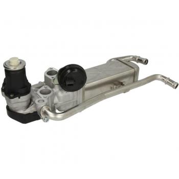 Válvula EGR DELPHI EG10589-12B1 para SEAT: Ibiza, Toledo & VOLKSWAGEN: Polo & SKODA: Fabia, Rapid, Roomster & AUDI: A1