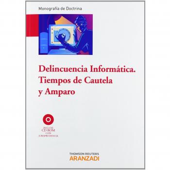 Delincuencia informática. Tiempos de cautela y amparo: Incluye CD