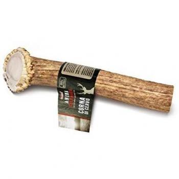 Cuerno de Ciervo S 13cm Aprox para Perros, Stick Dental tamaño pequeño.
