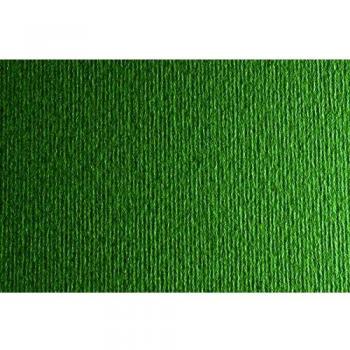 Fabriano F42450728 - Cartulina extra, 220 g, 50 x 70, color verde oscuro