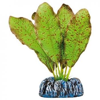 ICA AP1138 Echinodorus Moteado de Aquatic Plants Seda