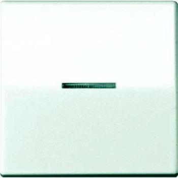 Tecla con visor para mecanismo simple placa central blanco JUNG 0712133893