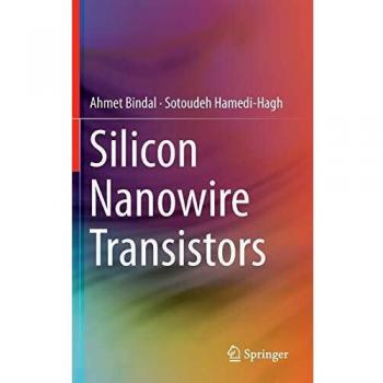 Advanced Silicon Nanowire Transistors