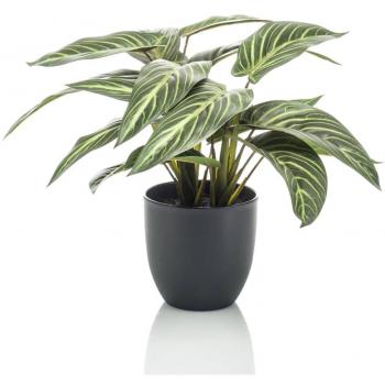 Calathea Artificial Zebrina 38 cm en Jarrón