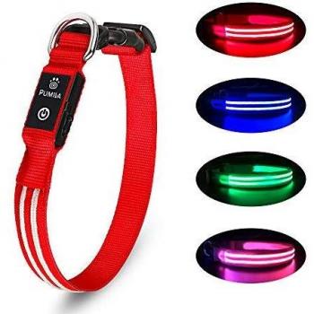 Collar Luminoso para Perros Recargable LED Collar para Perros 3 Modos de Iluminación Impermeable Ajustable Súper Brillante para Perros Pequeños Medianos Grandes Caminata Nocturna - Rojo M