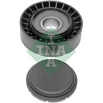 Polea guía INA 532 0229 10 para correa trapezoidal estriada Poly-V