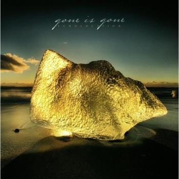 Echolocation - Gone Is Gone [Vinyl Import]