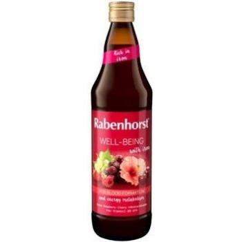 Zumo de Uva Rabenhorst Well-Being 750ml