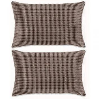 vidaXL 2X Cojines de Terciopelo 40x60cm Marrón Accesorios de Hogar Decoración
