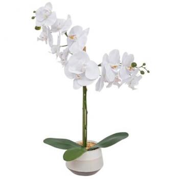 Orquídea Artificial Clera en Maceta de Cerámica Bicolor, 52 cm