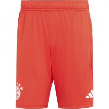 Adidas Pantalones Cortos de Entrenamiento Bayern Munich 2023/24 Hombre