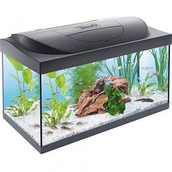 Tetra Starter Line LED Acuario 54 L - Juego completo que incluye iluminación LED, un acuario estable para principiantes con tecnología, alimentos y productos de cuidado, negro