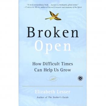 Broken Open: How Difficult Times Can Help Us Grow