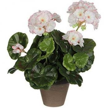 MICA Decorations 950218 Flores, Geranium Grandes, Multicolor