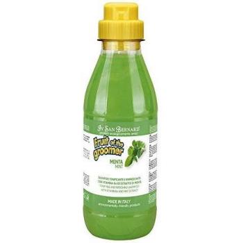 Iv San Bernard 020506 Fruits Champú Menta 500 ml