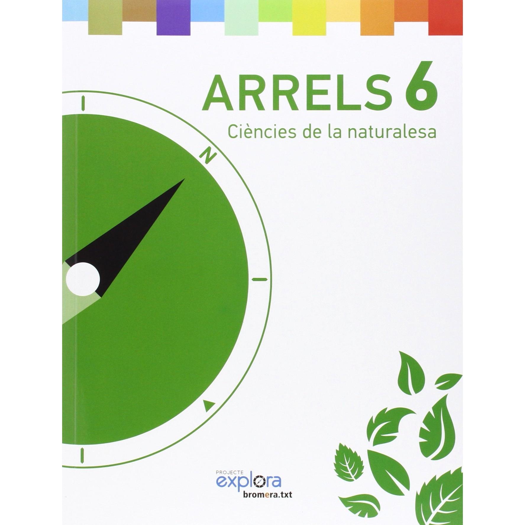Imagen Principal