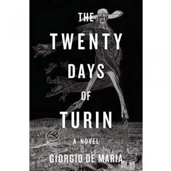 The Twenty Days of Turin: A Novel