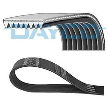 Correa trapecial poli V DAYCO 8PK1668HD, tipo de producto: Correa V-ribbed, características: longitud de 1668 mm, 8 ranuras, alta durabilidad y resistencia al desgaste