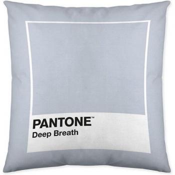 Funda de cojín Pantone Deep Breath 50 x 50 cm