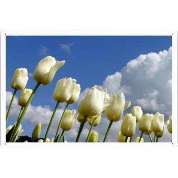 Metal cartel Cartel de chapa Hojalata sesión Flower Tin Sign Tulips Flowers White Sky Clouds Spring 31484 Retro Vintage Pared Decoración by hamgaacaan