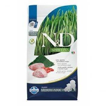 Farmina N&D Dog Spirulina Puppy Medium Maxi Cordero - Pienso para perros cachorros de razas medianas y grandes, formulado con espirulina, a base de cordero, 2 kg