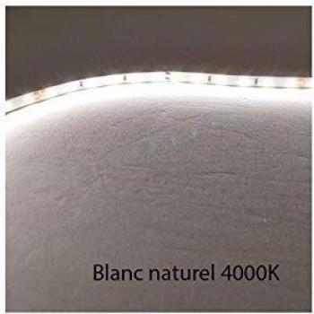 Tira LED Blanca Natural 4000K 60 LED/m 4,8W/m IP68 5m