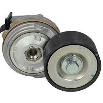 Tensor de Correa DAYCO APV1134