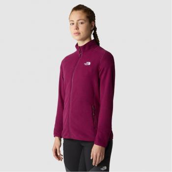 Sudadera de mujer The North Face 100 GLACIER Granate (XS)