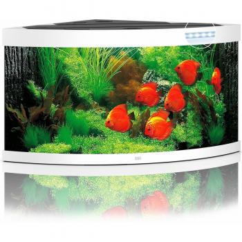 Acuario Juwel Trigon 350 LED Blanco, triangular, curvo, capacidad de 350 litros, iluminación LED integrada, sistema de filtración interno, diseño elegante y moderno