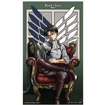 Póster de Tela Attack on Titan Levi 70 x 120 cm