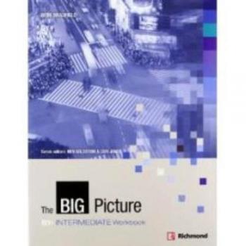 BIG PICTURE 3 WORKBOOK INTERMEDIATE [B1+]