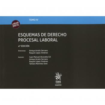 Tomo IV Esquemas de Derecho Procesal Laboral 4ª Edición 2018