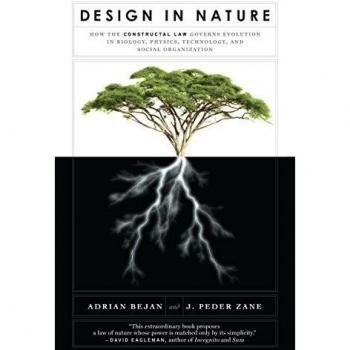 Design in Nature: How the Constructal Law Governs Evolution in Biology, Physics, Technology, and Social Organizations