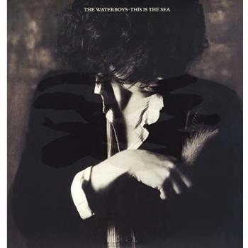 This is the sea vinilo