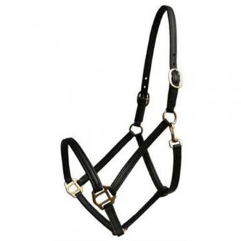 Ultrasport - Cabestro para caballos de hípica, tamaño FS, color marrón