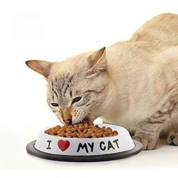 ootb 101955 Comedero Gato I Love 15x3, Varios, U