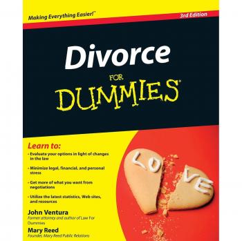 Divorce for Dummies - US Edition