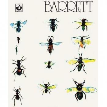 Barrett Vinyl Record
