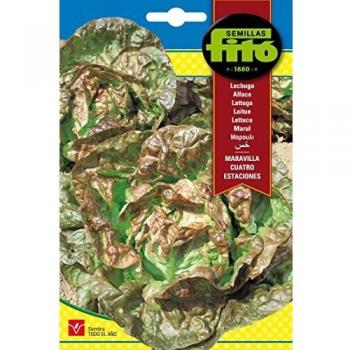 Semillas Fitó 211 - Semillas de Lechuga Maravilla Cuatro Estaciones