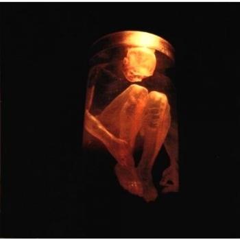 Nothing Safe - Best Of The Box - Alice In Chains