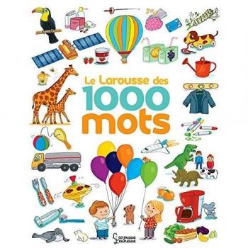 Le Larousse des 1 000 mots NE